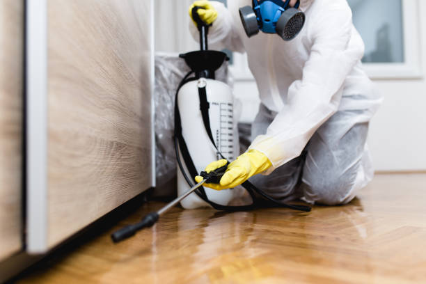 Best Rat Extermination Near Me  in Bishopville, SC