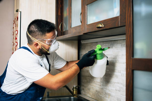 Best Pest Removal Services  in Bishopville, SC