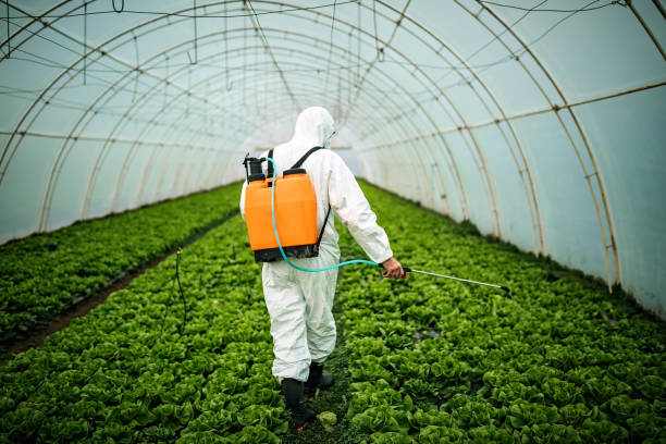 Professional Pest Control in Bishopville, SC