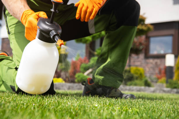 Bird Control in Bishopville, SC