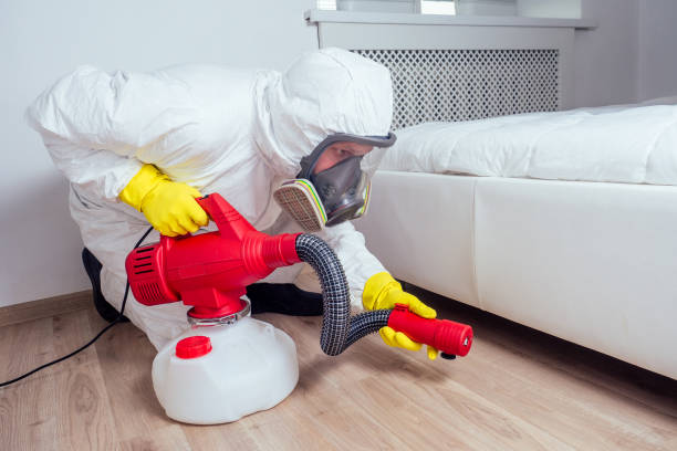 Flea Control Services in Bishopville, SC