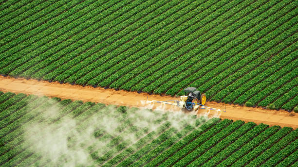 Best Exterminator Services  in Bishopville, SC