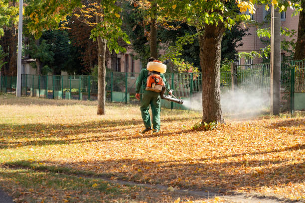 Best Pest Prevention Services  in Bishopville, SC