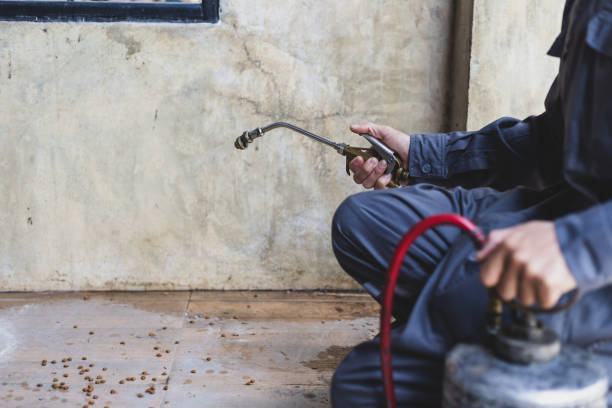 Best Best Pest Control Companies  in Bishopville, SC